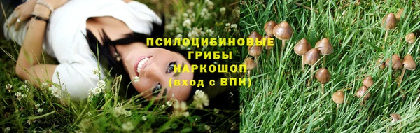 дживик Баксан