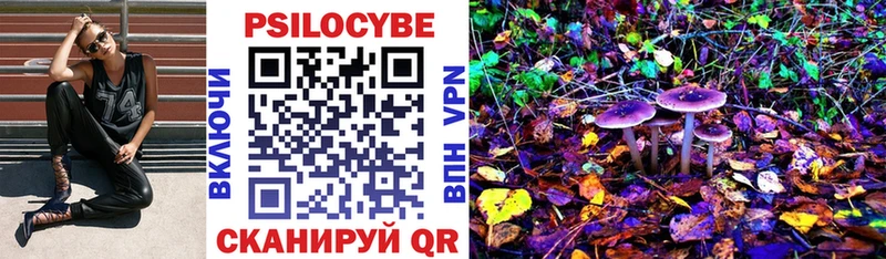 Галлюциногенные грибы Magic Shrooms  Губкин 